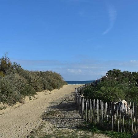 Les Goelettes - Appartement En Rdc Avec Acces Direct A La Plage Сен-Сиприен Экстерьер фото
