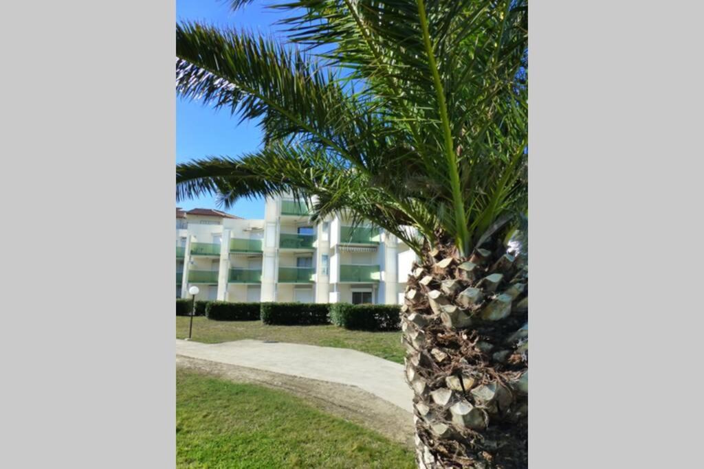 Les Goelettes - Appartement En Rdc Avec Acces Direct A La Plage Сен-Сиприен Экстерьер фото