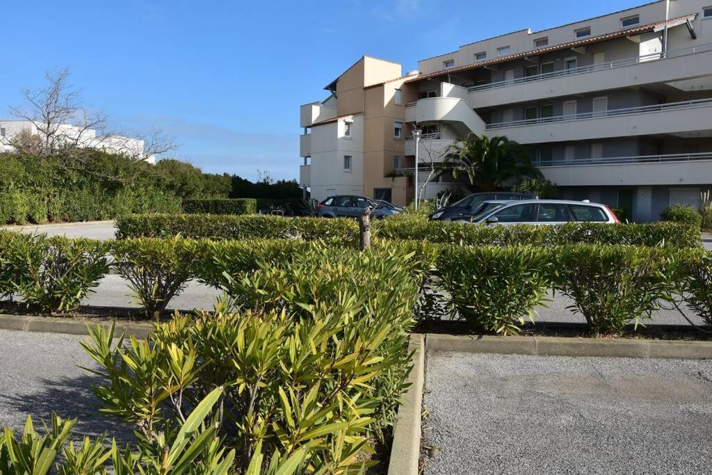 Les Goelettes - Appartement En Rdc Avec Acces Direct A La Plage Сен-Сиприен Экстерьер фото